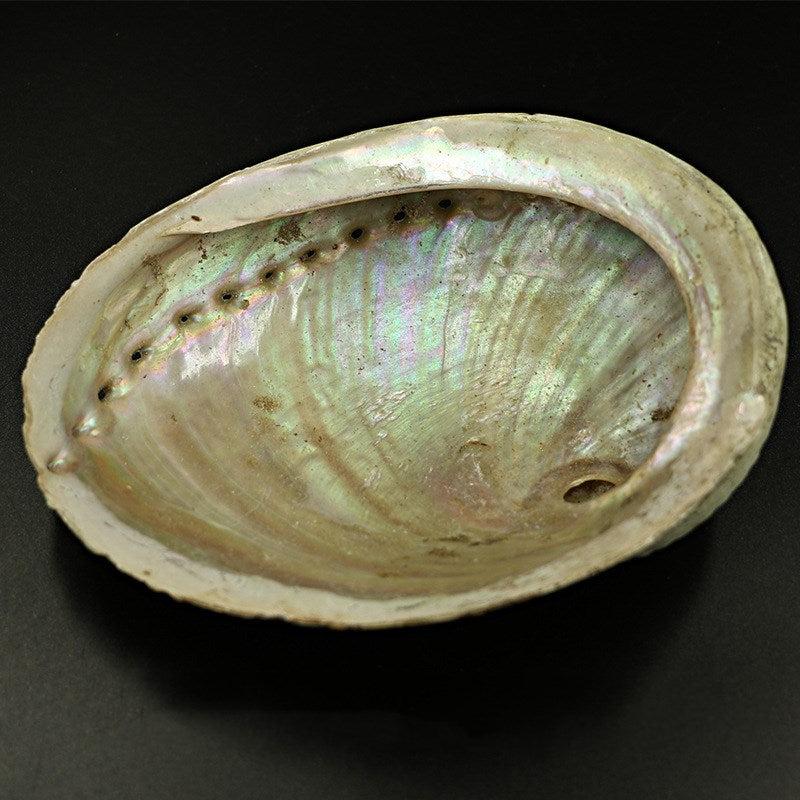 Abalone Shell with Natural Wooden Cobra Stand, sage burner - Image #3