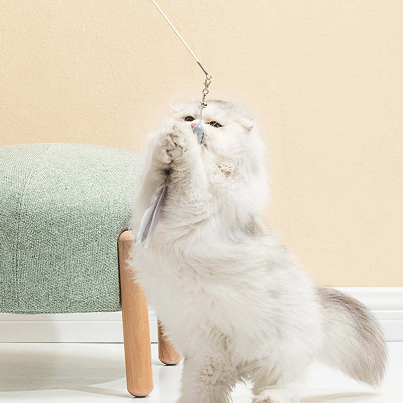 Cat Toy Laser Set Feather Funny Cat Stick