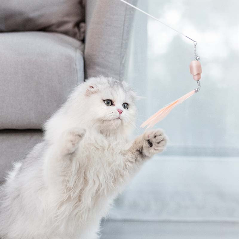 Cat Toy Laser Set Feather Funny Cat Stick