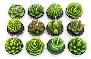 Simulated Succulent Candle Aromatherapy
