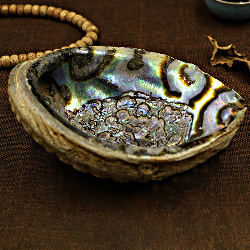 Abalone Shell with Natural Wooden Cobra Stand, sage burner