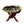 Load image into Gallery viewer, Abalone Shell with Natural Wooden Cobra Stand, sage burner
