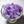 Load image into Gallery viewer, Natural Amethyst Flower - Key of Cherry Blossom 
